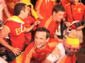 Mr Sheepskin: Spain Win Euro 2008