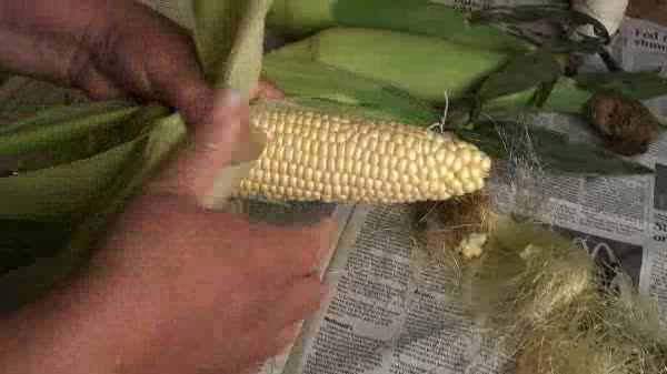 What's Cooking - BBQ Corn