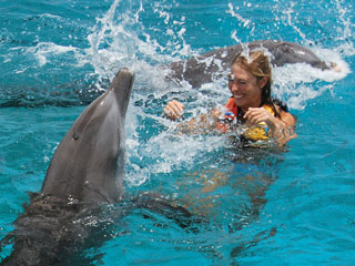 Free time with the dolphin..!