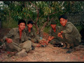 Singapore Commandos (1985-1987)