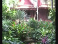 The Jim Thompson House and Museum - Bangkok -  Thailand