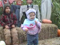Pumpkin Patch October 8th, 2005