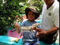 Noah holding baby crocodile