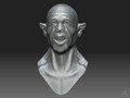 Sculpt with Zbrush - Orgre Bust
