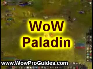 WoW Paladin Leveling Guide