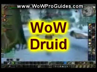 WoW Druide Leveling Guide - World of Warcraft