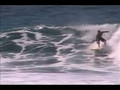 Hawaii Surfing - Experience This