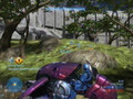 Halo 3 splatter crazy