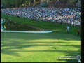 Tiger Woods Chipped In