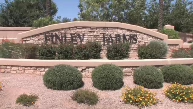 Finley Farms Real Estate, Finley Farms in Gilbert Arizona