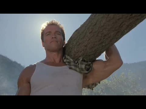 The Creator of Arnold Schwarzenegger