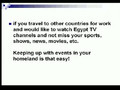 Egypt TV online: watch egyptian TV channels on PC