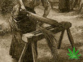 HistoryOfMarijuana.avi