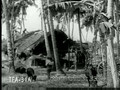 Tropical Ceylon 1932