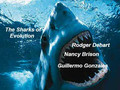 The Sharks of Evolution 
