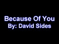 Because Of You By David Sides