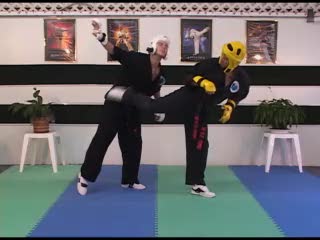 How To Sport Karate â âMid-belly Hook Kickâ