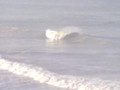 Big Waves in San Diego (Black's - December 5th, 2007)