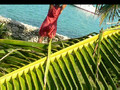 Travel Bermuda: Bermuda-Bermuda Travel Video Postcard
