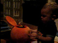 Cole's pumpkin