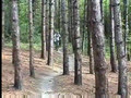 albion mountain biking
