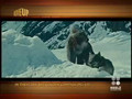 Movie Up - The Golden Compass
