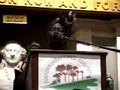 "Planting Peace" Dr. Wangari Maathai