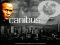 CANIBUS VS LORD ZERO PL1 MIX 2