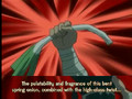Naruto Onion Parody English (sub)