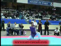 Martial Arts-Shoryuken