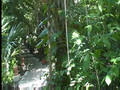 Iberostar Quetzal - www.WildTravelDeals.com