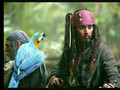 Pirates Des Caraibes Et La Fontaine De Rhum 02