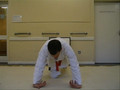 Aikido Ellis  push - ups