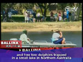 TnnTV World News_australia_dolphins
