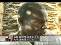 スーダン政府がダルフールの村を空爆 死者14人
