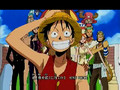 One piece opening 10 we are
