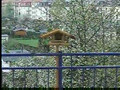 15.04.2008-17h26min52sec - Balkon.avi