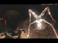 Silent Hill Homecoming - ps3 - 07 - Hell Descent [3/3]