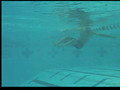2008-10-04 Underwater View - Al's Freestyle