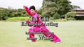 Tai Chi by beatutiful young master Wang