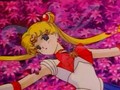 Sailormoon Amv