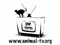 Go To Animal-TV.org !