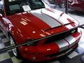 '08 Shelby Cobra GT500KR Ford Mustang Queensbury NY 12804