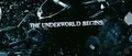Movie Trailer - Underworld:The rise of the Lycans