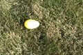 Easter Eggs: The Final Encounter