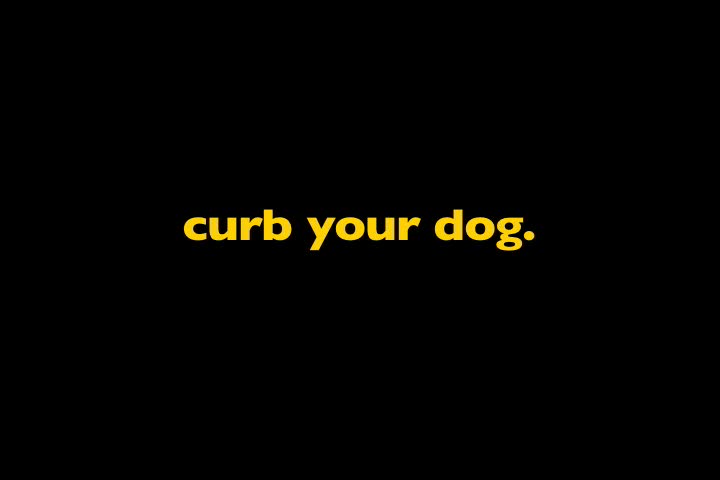 Curb Your Dog - A Mess