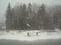 Snow Storm in Maine