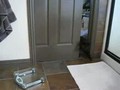 Cat opens door
