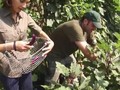 Urban Homestead - Self Sufficiency Wrap Up w/ Jules Dervaes