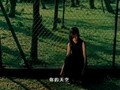 Vicki Zhao Wei - Last Separation (MV)